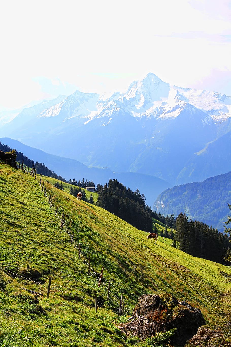 Austria, Mountains, Alpine, Nature, tyrol, meadow, landscape HD wallpaper