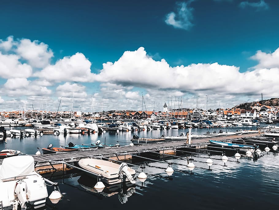 boats on body of water beside houses, marina, dock, harbor HD wallpaper