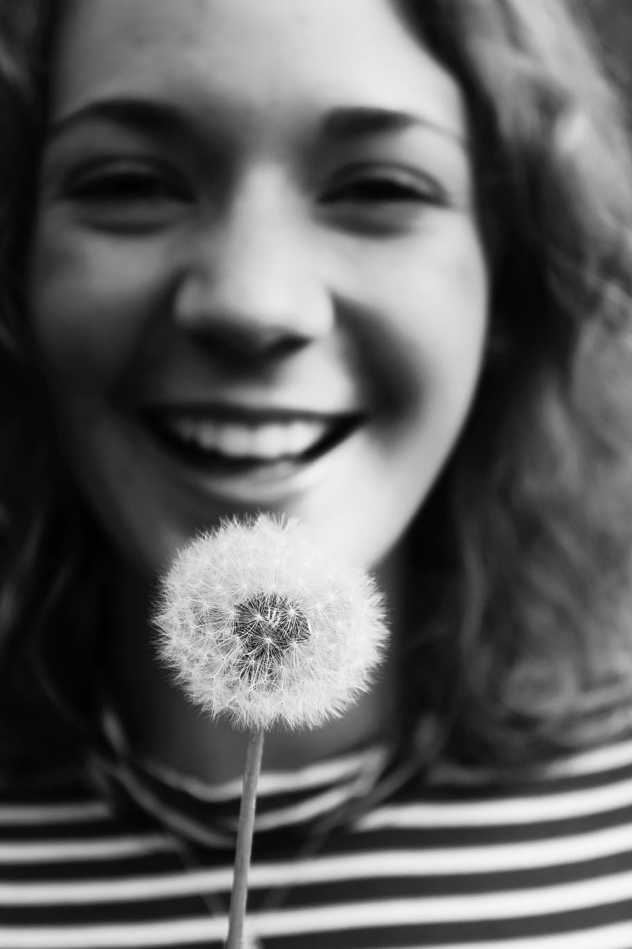 All Smiles, grayscale photo of woman holding dandelion flower, HD wallpaper