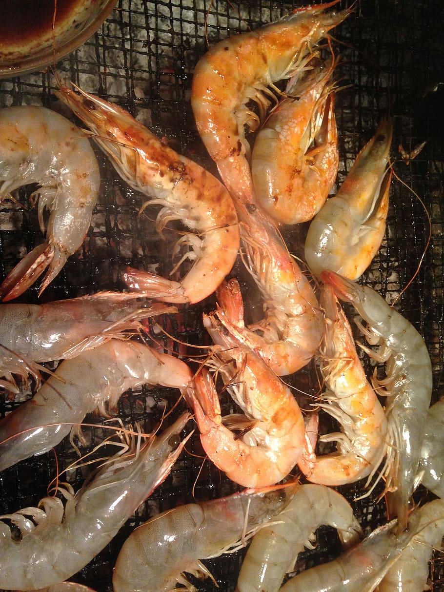 Shrimp, Barbecues, Chronicles, seafood, food and drink, no people HD wallpaper
