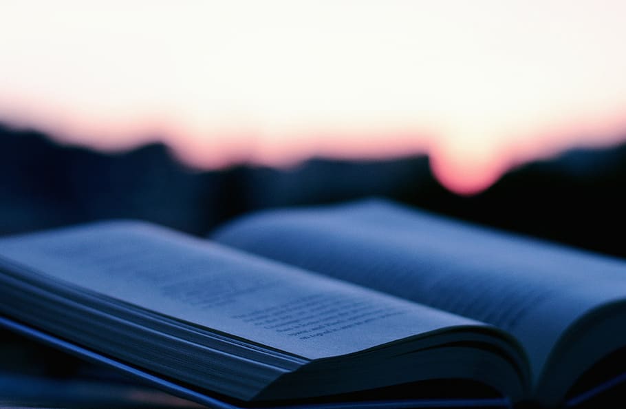open book at sunset selective-focus photography, opened, reading, HD wallpaper