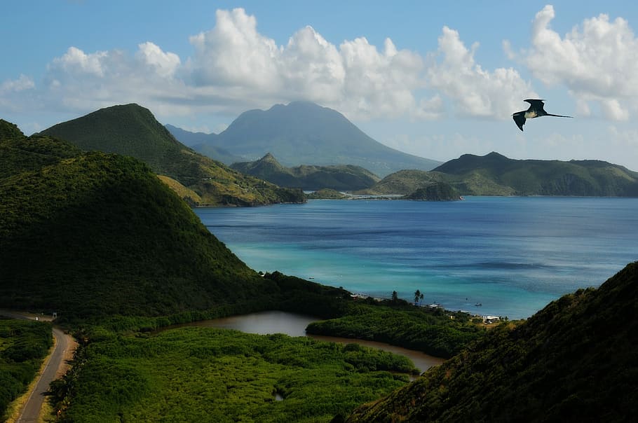 bird flying alone above mountain and body of water, St Kitts, HD wallpaper