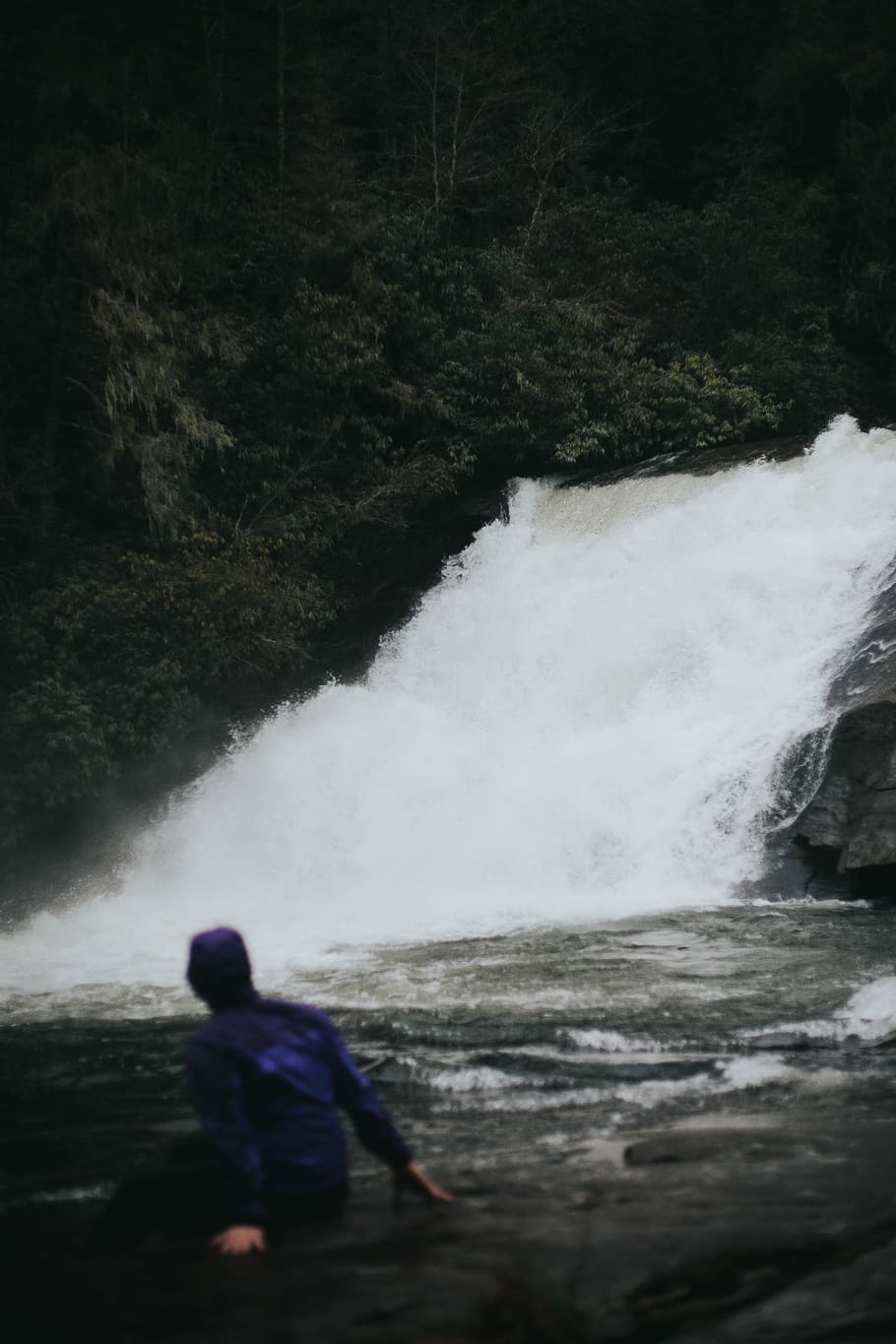 person sitting on rock next to waterfalls, person wearing purple jacket looking at waterfalls HD wallpaper