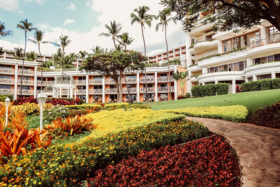 yellow and red flower garden near white concrete buildings at daytime HD wallpaper