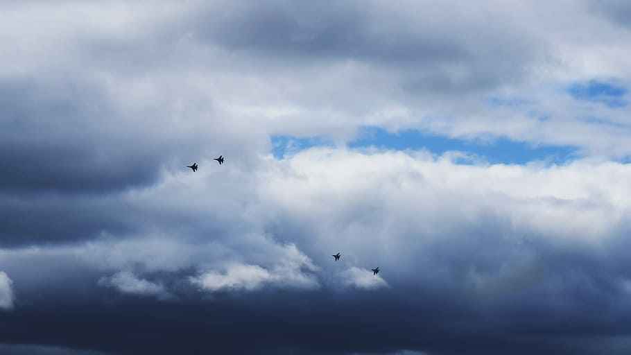 four birds flying and white clouds during daytime, unsplash HD wallpaper