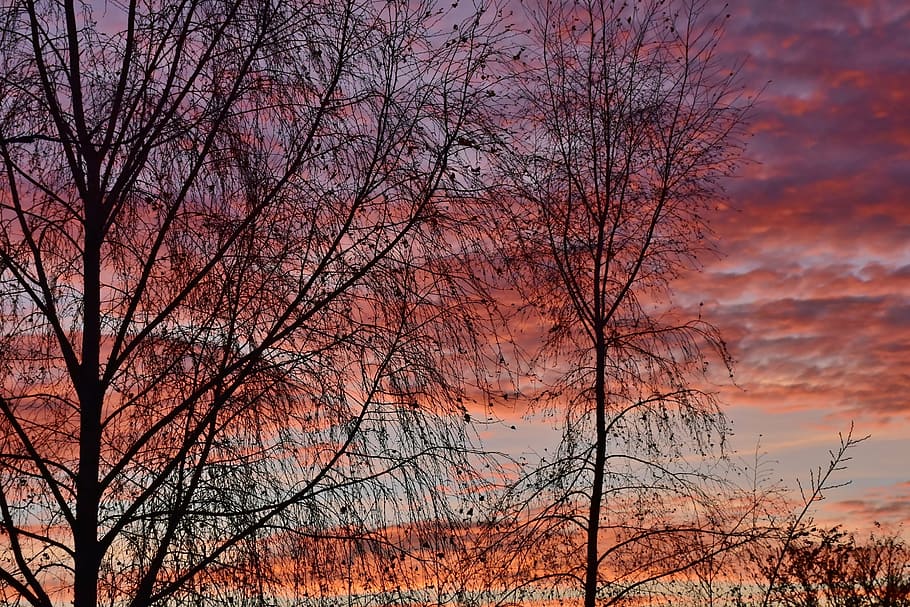 sunset, evening sky, red, afterglow, abendstimmung, atmospheric HD wallpaper