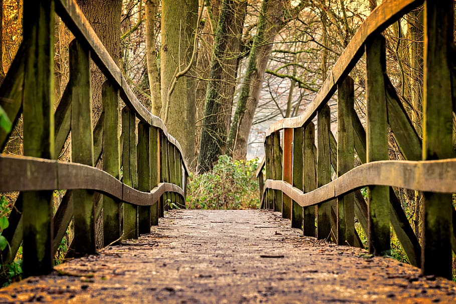brown wooden bridge, away, web, nature, railing, pedestrian bridge HD wallpaper
