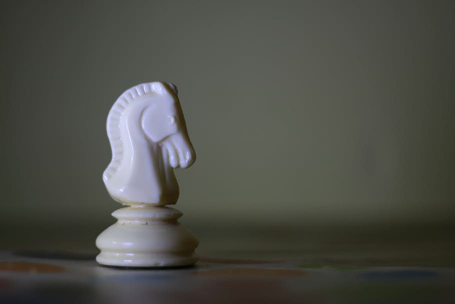 chess, horse, game, strategy, board, play, sport, symbol, icon HD wallpaper