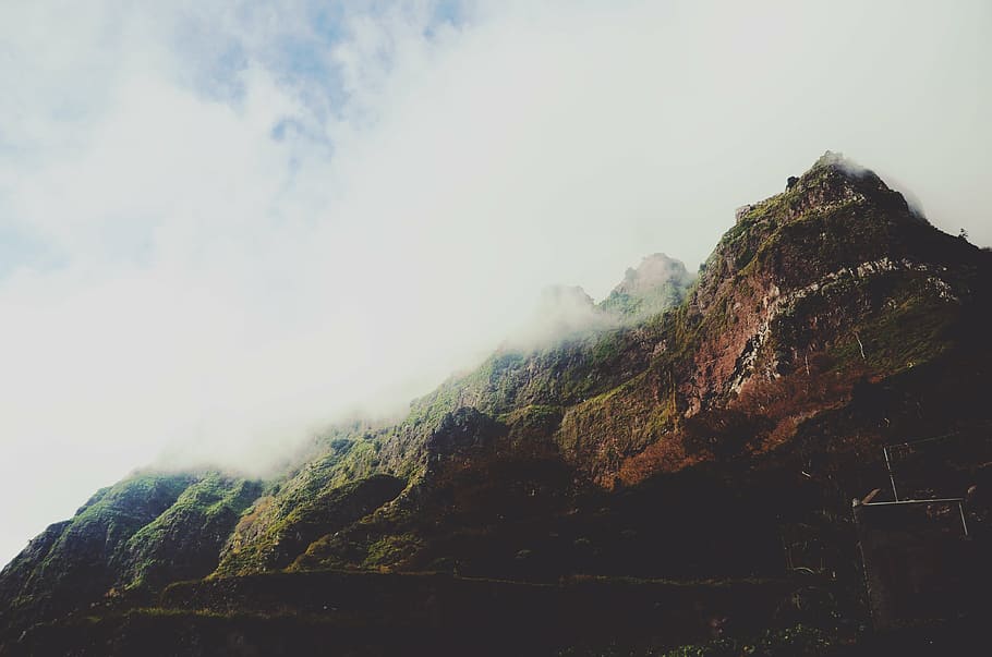 cloud covering the top of the mountain, green, foggy, daytime HD wallpaper