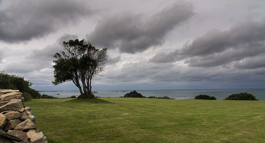 brittany, france, coast, tree, forward, weather, view, cloud - sky