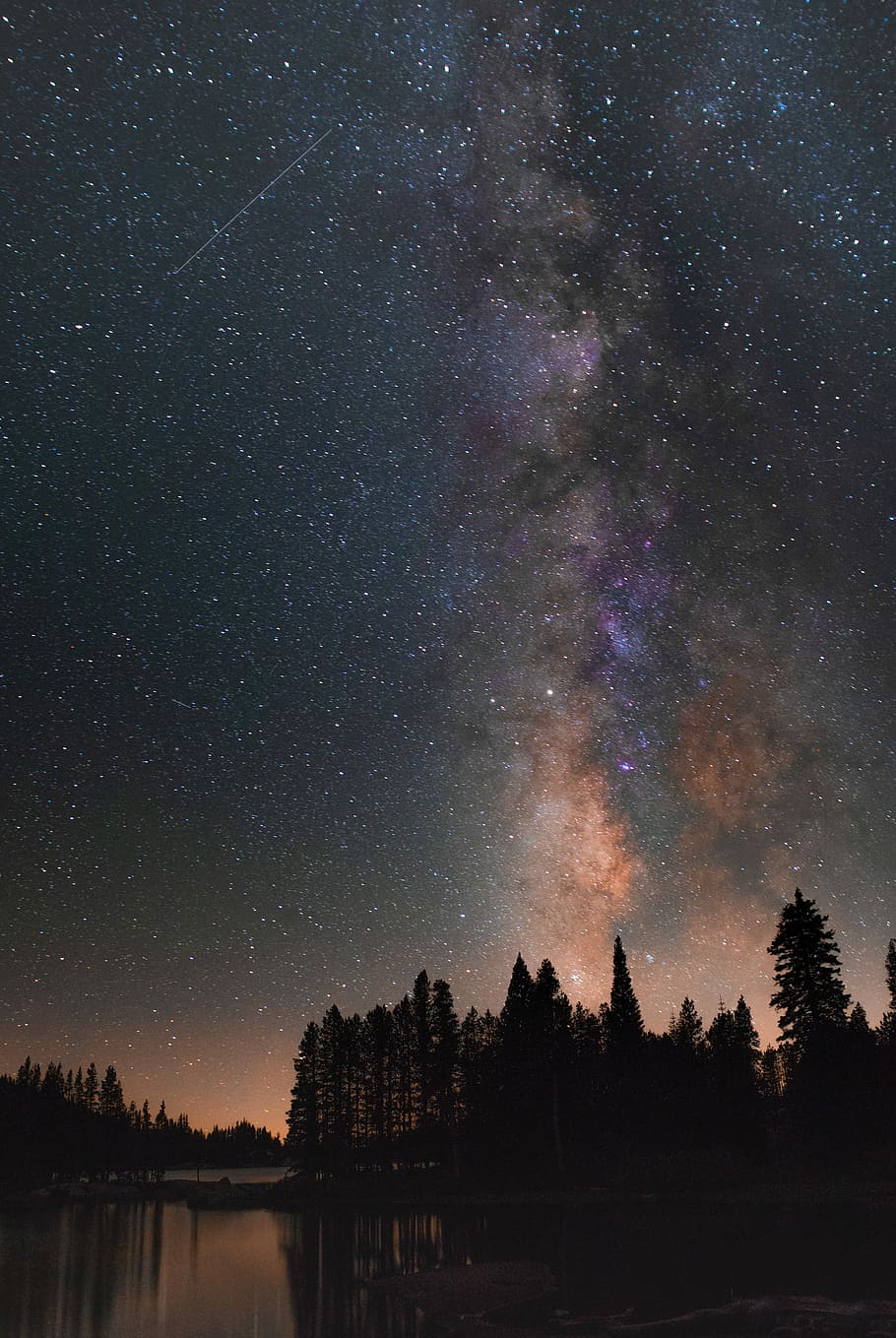 silhouette of trees under starry sky, long exposure photography of stars HD wallpaper