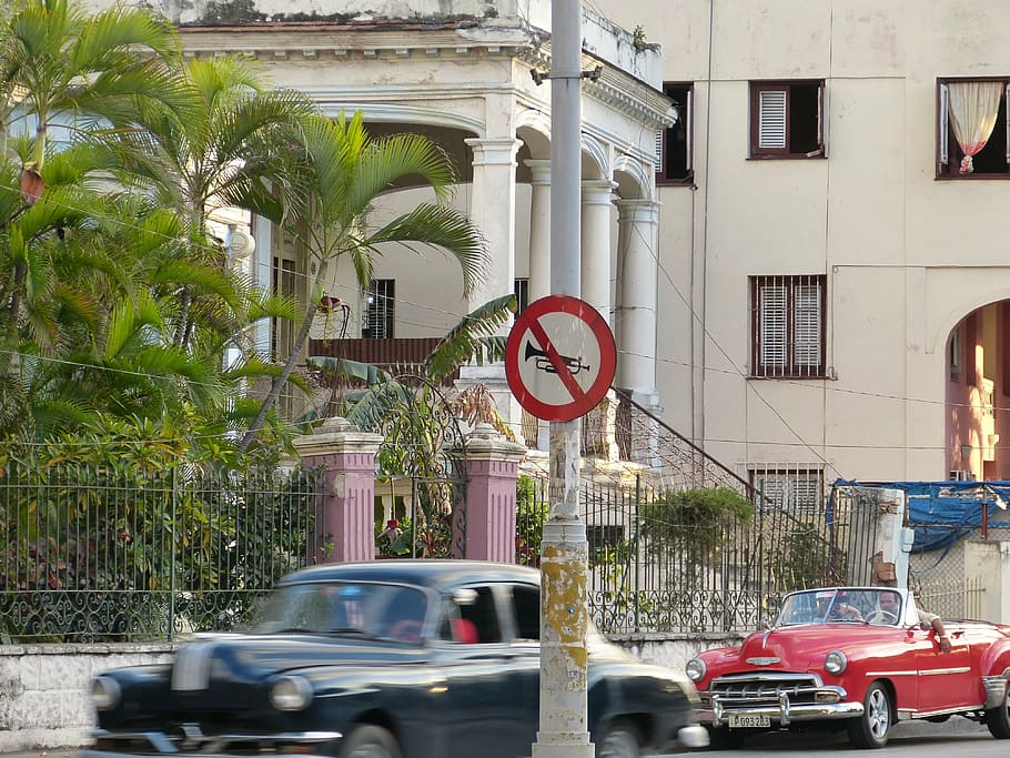horn, cuba, palm, car, street, architecture, havana, motor vehicle HD wallpaper