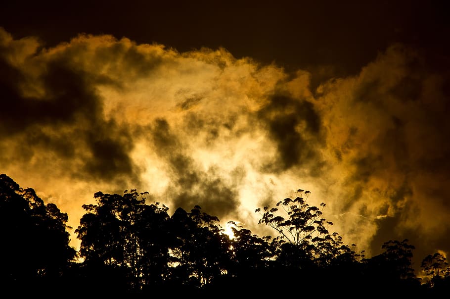Sunset, Clouds, Orange, Gold, sky, grey, dramatic, australia HD wallpaper