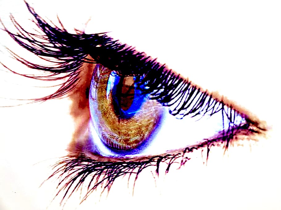 macro photography of person's brown eye, eyelid, eyelashes HD wallpaper