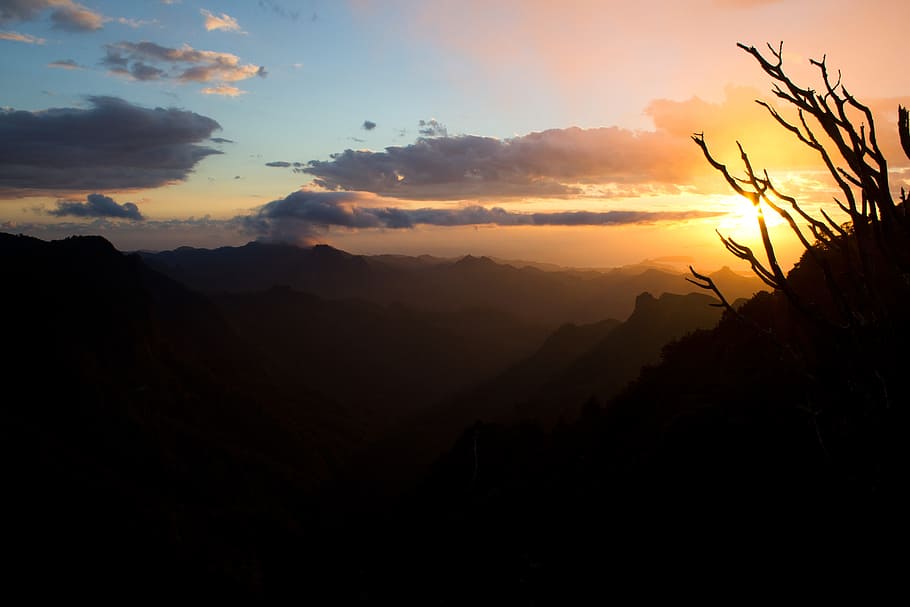 mountain range under golden hour, sunset, forest, jungle, nature HD wallpaper