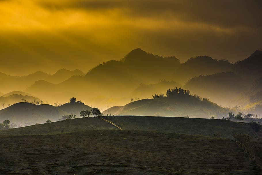 aerial photography of mountain and grass field, photo of mountain under golden sky HD wallpaper