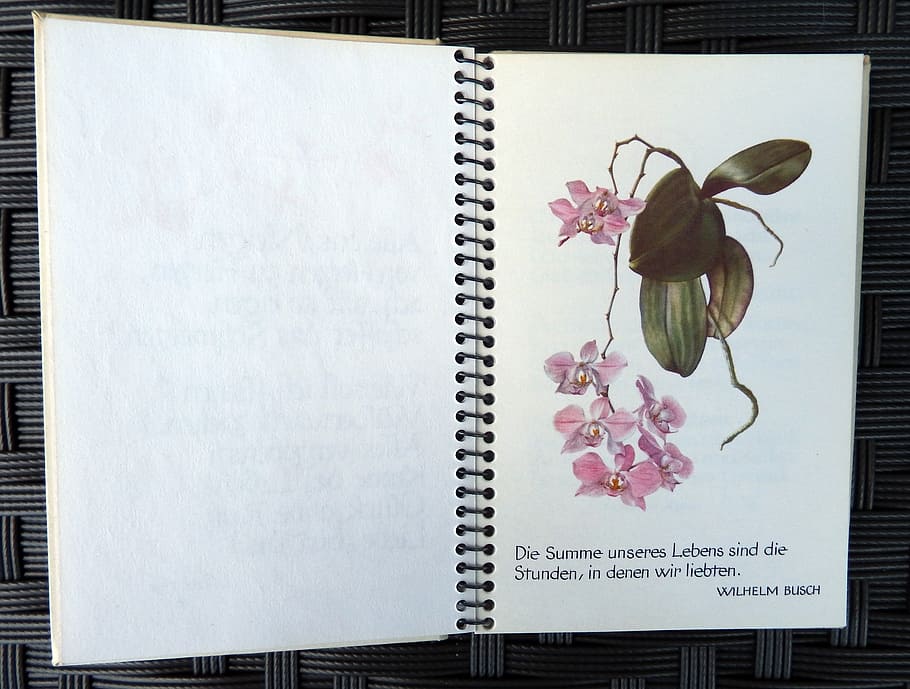 diary, flower, notebook, notes, write down, remember, flowering plant HD wallpaper