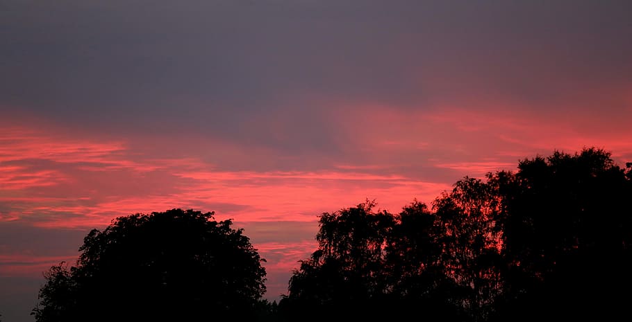 Himmel, Cloud, Sunset, Horizon, Tree, silhouette, nature, scenics HD wallpaper