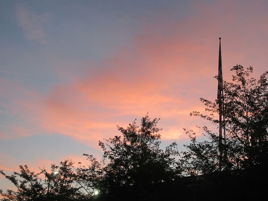 flag, sky, sunset, pole, tree, plant, silhouette, beauty in nature HD wallpaper