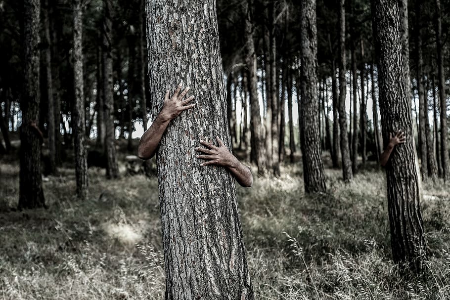 person holding tree trunk photo, hiding, hands, camouflage HD wallpaper