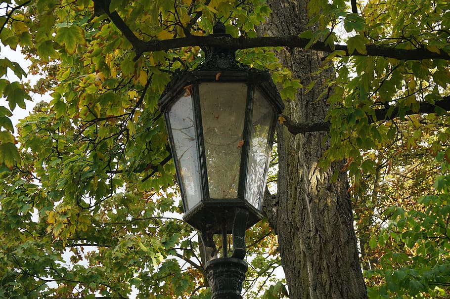 lamp, lighting, public lighting, street lamp, history, design HD wallpaper