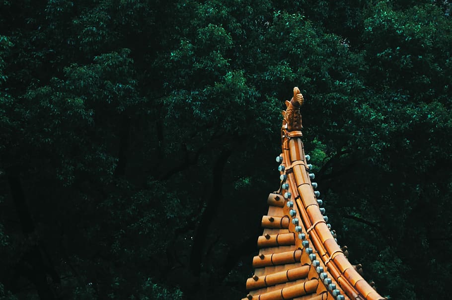 orange temple roof near trees, brown house beside green tree HD wallpaper