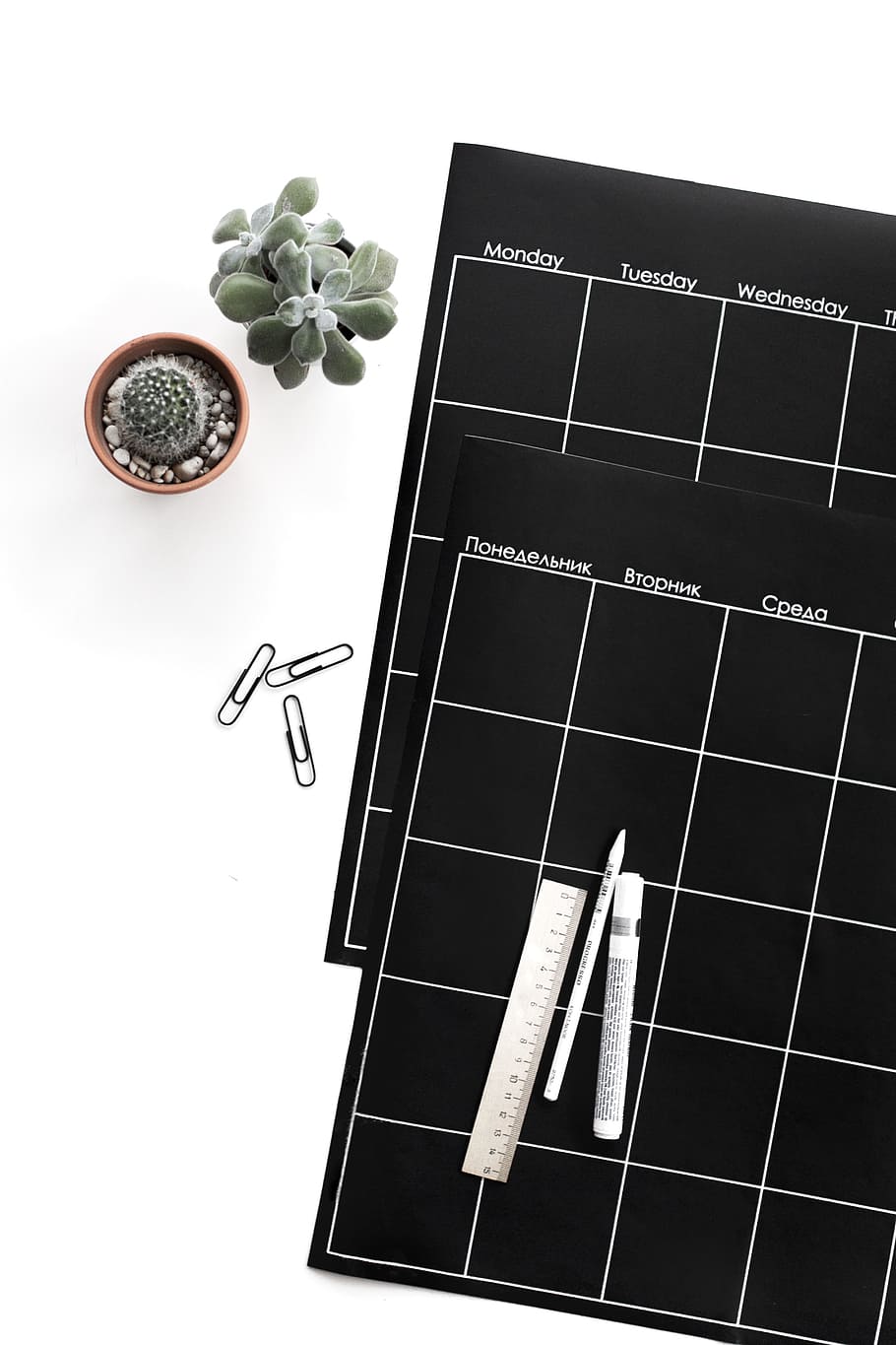 Green Succulent Plant Beside Black Planner, botanical, cactus HD wallpaper