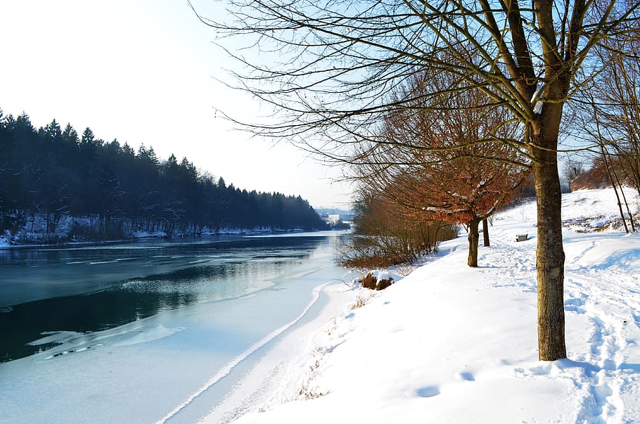 River, Tree, Water, Nature, Forest, stream, outdoor, winter HD wallpaper