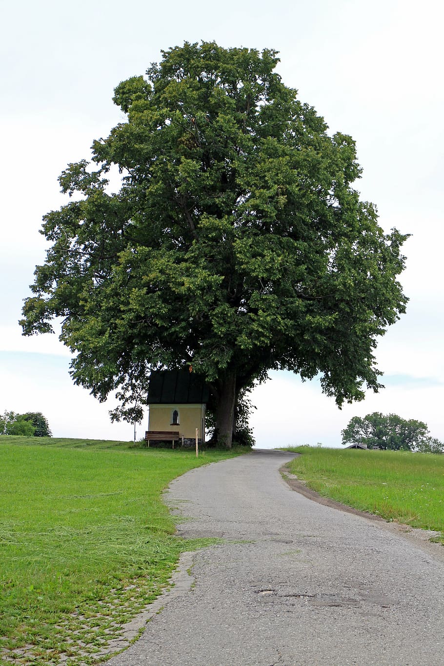 away, wayside chapel, tree, nature, promenade, house of prayer HD wallpaper