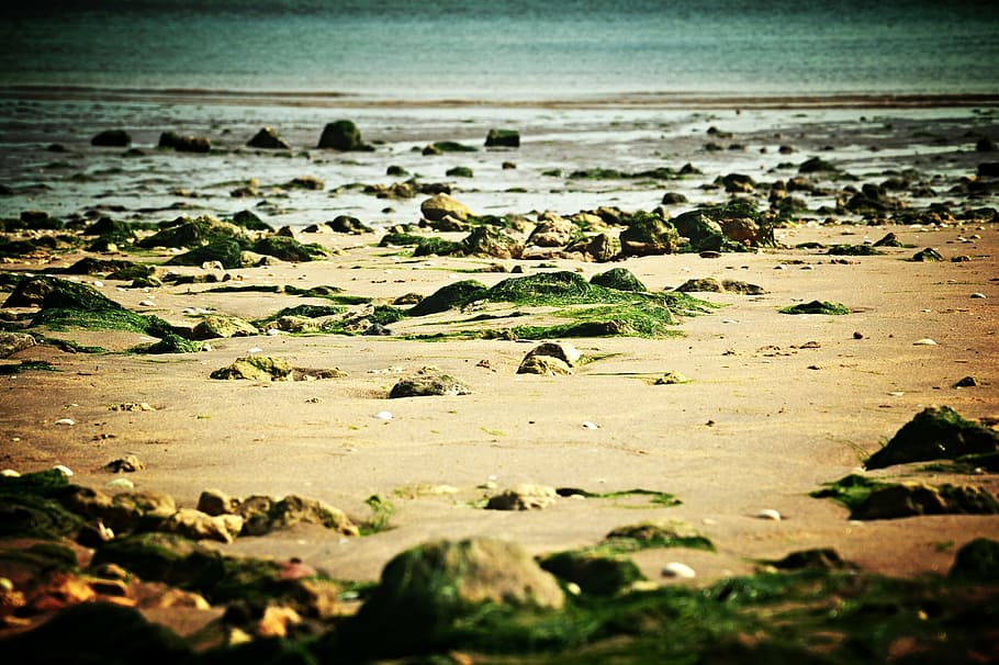 beach, rocks, sea, ocean, nature, landscape, water, tranquility HD wallpaper