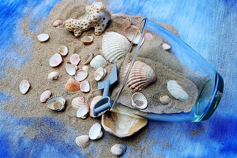 close up photo of clear drinking glass near sand full of seashell HD wallpaper