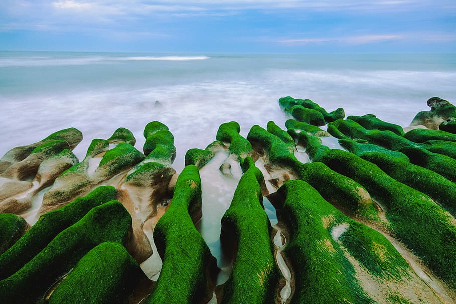 aerial photography of moss-covered stone formation at shore at daytime, bird's-eye view of body of water HD wallpaper