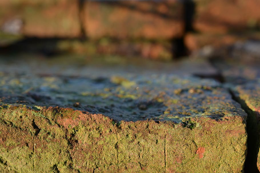 stone, brick, no people, nature, close-up, day, focus on foreground HD wallpaper