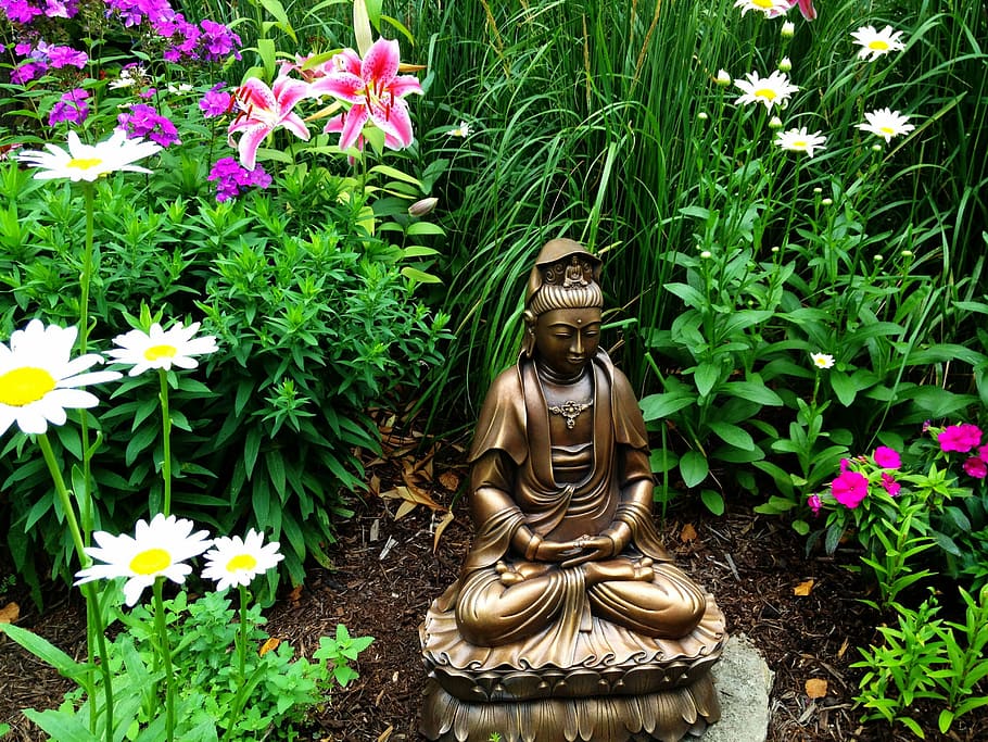 Gautama Buddha statuette, goddess, garden, female, flower, bronze, HD wallpaper