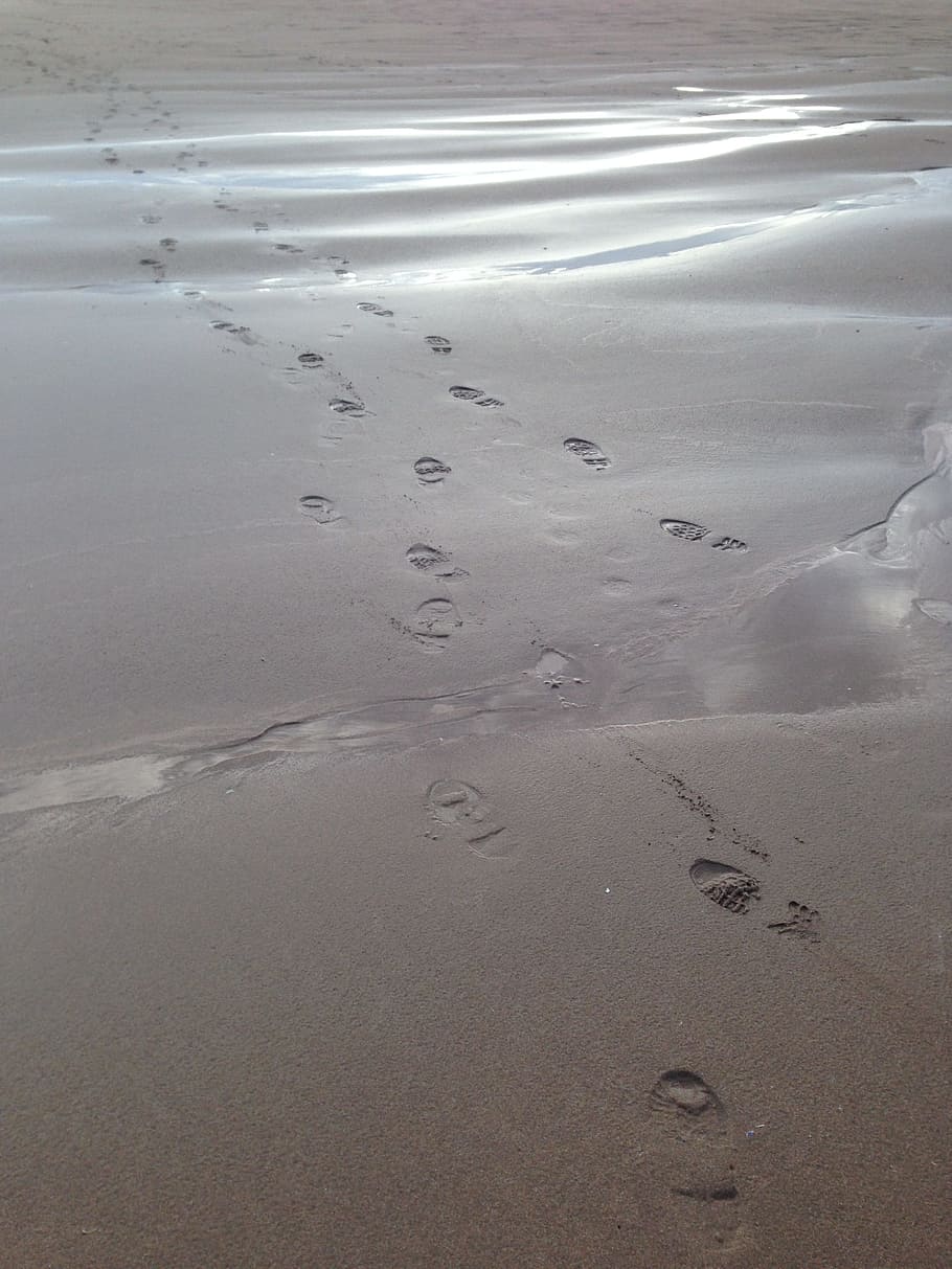 footprints, sand, beach, walk, step, barefoot, journey, seashore HD wallpaper