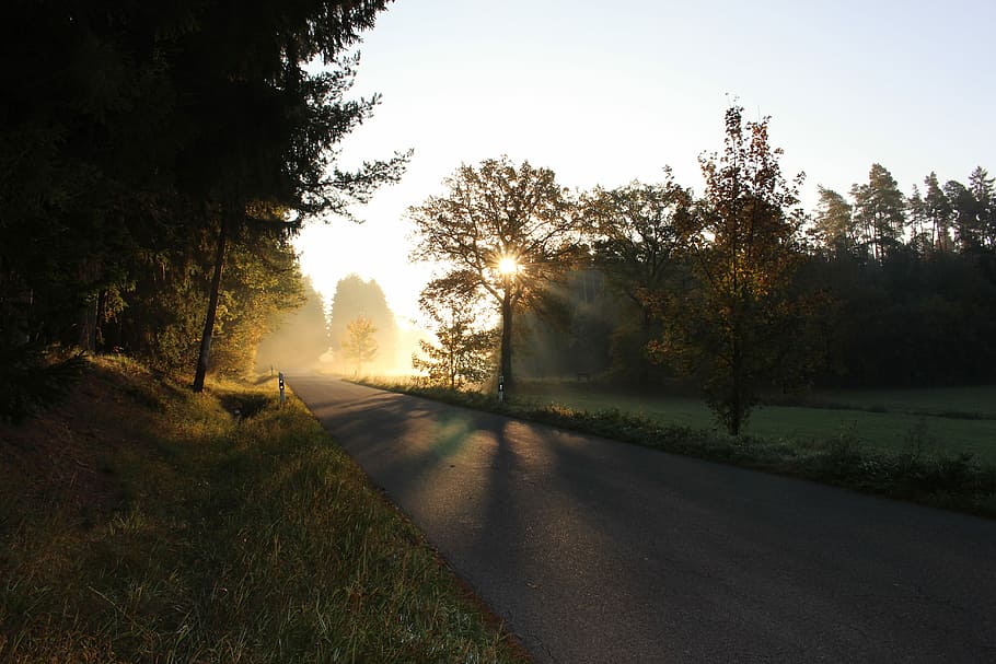 empty asphalt road, cleared road near trees during daytime, sunset HD wallpaper