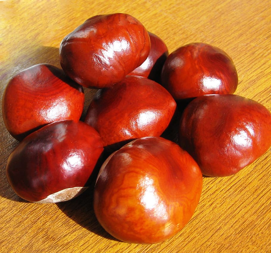 Food, Chestnut, Nuts, food and drink, fruit, healthy eating HD wallpaper