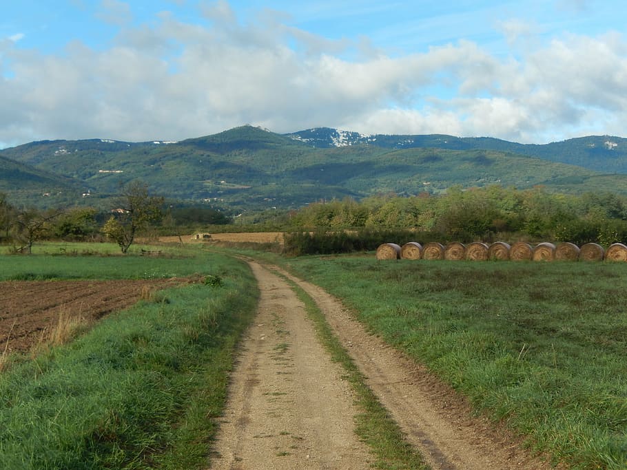 field, path, outdoor activities, landscape, sky, environment HD wallpaper