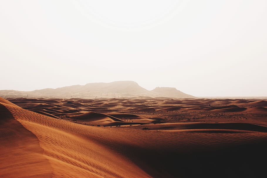 landscape photography of desert, desert with fog, sandscape, dune HD wallpaper