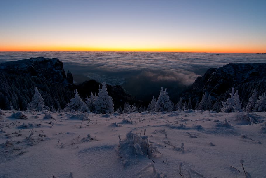 winter, mountain, snow, cold, white, frost, frozen, scenery HD wallpaper