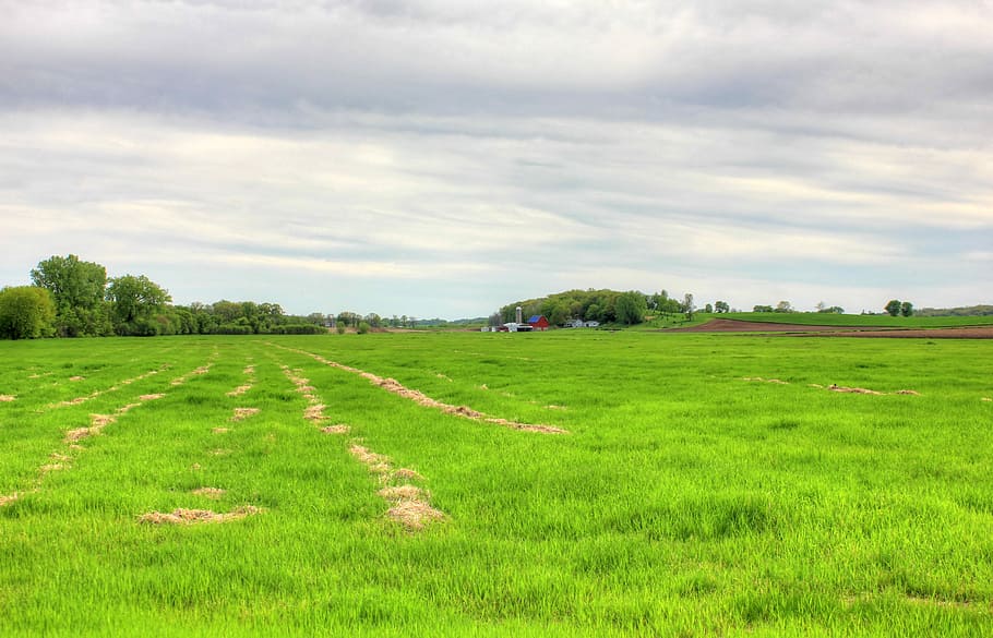 Farmland and Sky in Southern Wisconsin, clouds, landscape, nature HD wallpaper