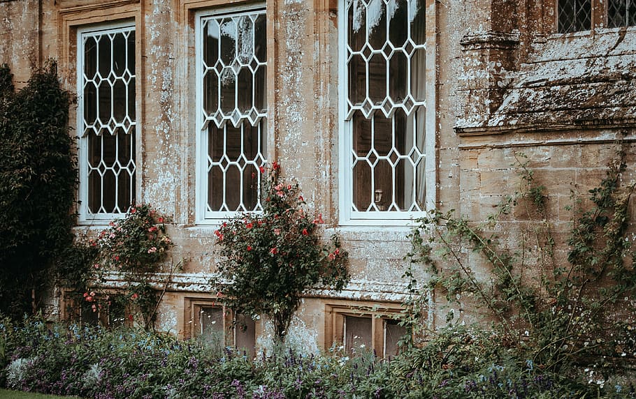 Forde Abbey, brown concrete house with closed window, building HD wallpaper