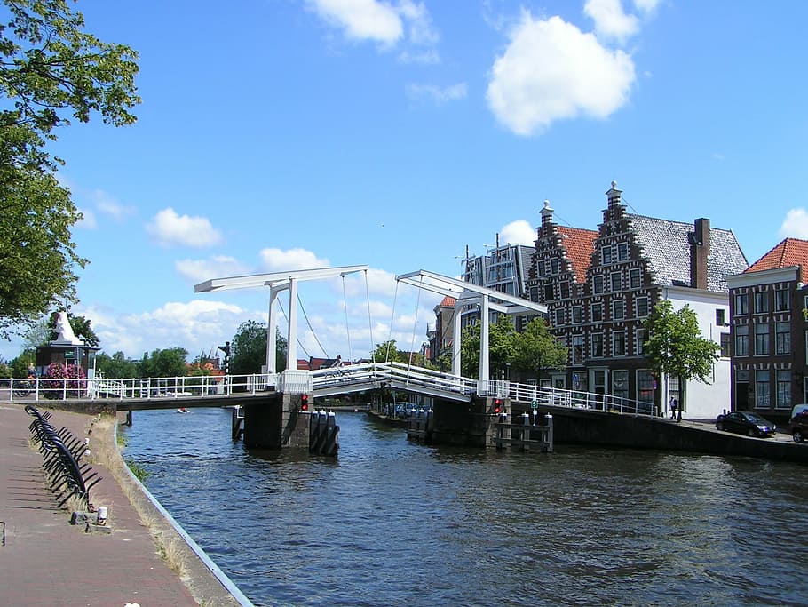 harlem, spaarne, bridge, old town, river, netherlands, built structure, HD wallpaper