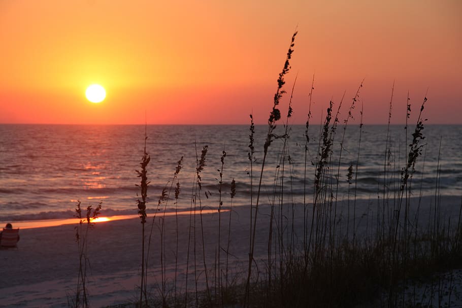 sunset, beach, sky, water, dusk, beach sunset, ocean, evening HD wallpaper