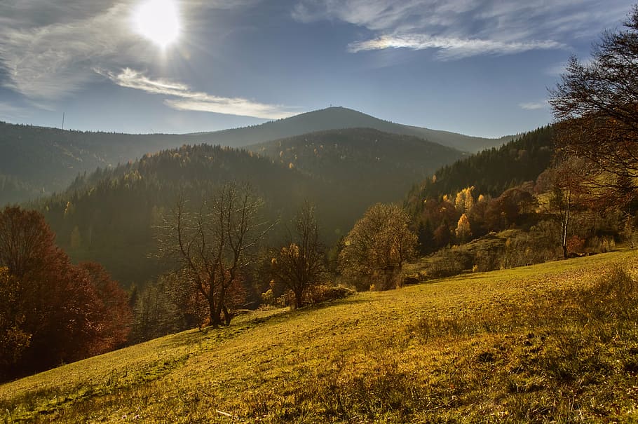 green grass field and mountains during daytime, autumn, forest, HD wallpaper