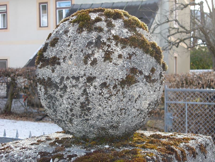 ball, stone, wall, globose, nature, stones, fouling, sprout HD wallpaper