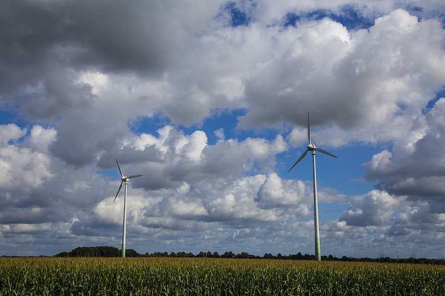Sky, Clouds, Trees, Green, Blue, landscape, nature, energy HD wallpaper