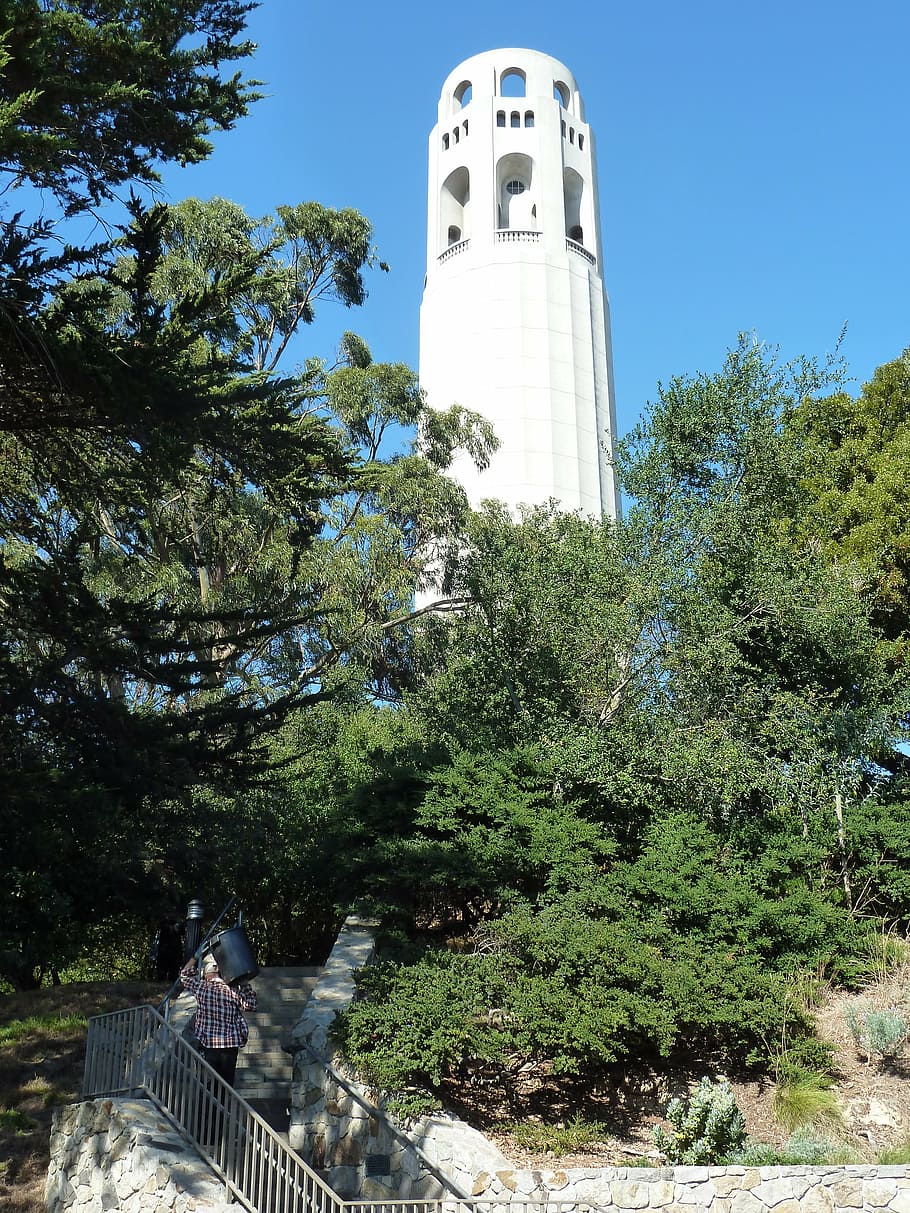 coit tower, architecture, trees, view, san francisco, california HD wallpaper