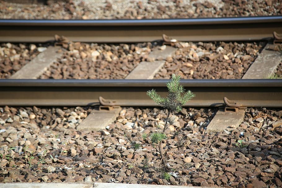 Railway, Train, Train Tracks, traveling, distance, zen, survival HD wallpaper