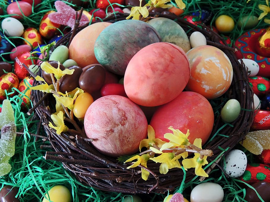 assorted-colored eggs on brown nest, easter nest, easter eggs HD wallpaper